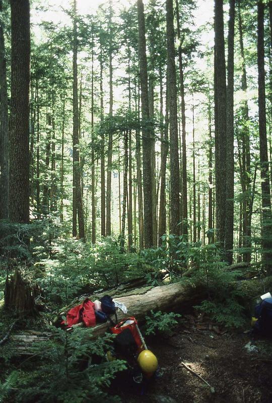 1987-006 C141 Peak Apr 1987 001.jpg
